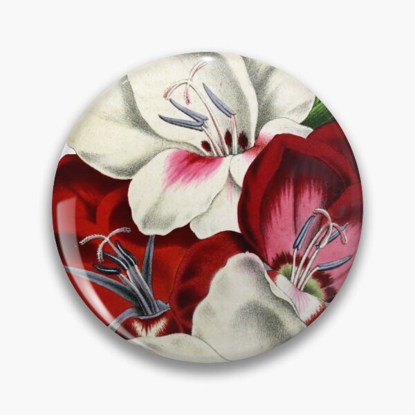 Item preview, Gladioulus Gandavensis designed and sold by imageresource.