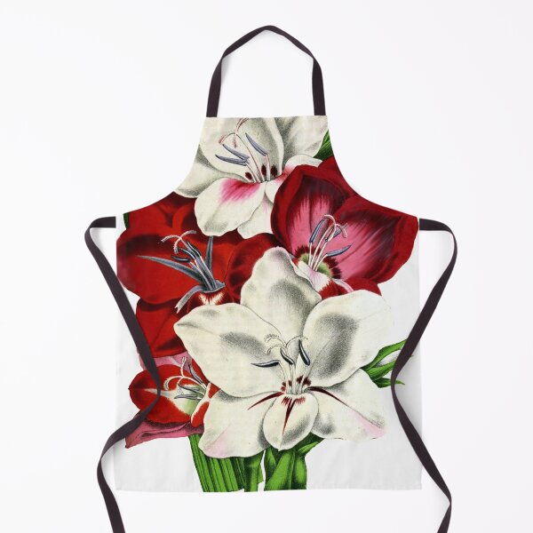 Item preview, Gladioulus Gandavensis designed and sold by imageresource.