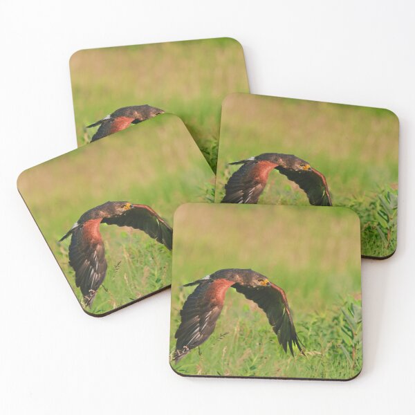 Item preview, Harris's Hawk in flight designed and sold by Cycroft.