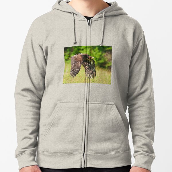Juvenile Bald Eagle Zipped Hoodie