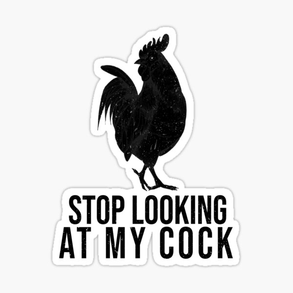 Stop Looking At My Cock Sticker