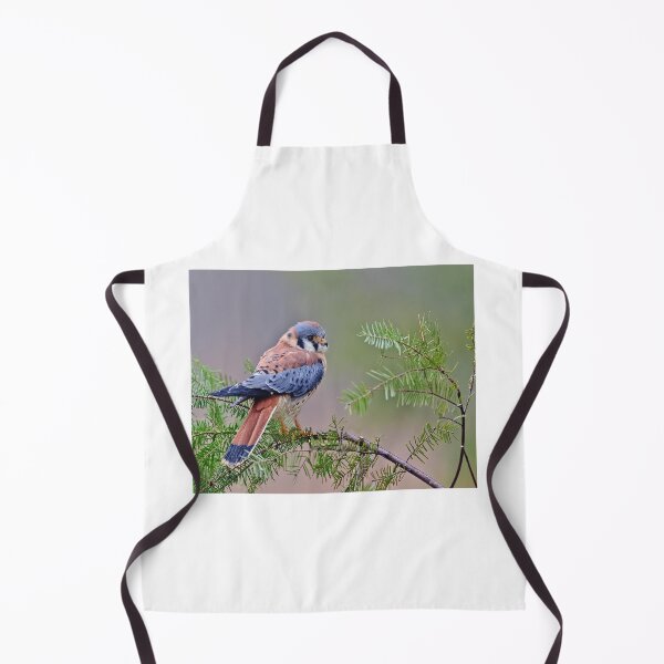 Item preview, American Kestrel designed and sold by Cycroft.