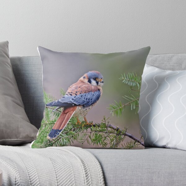 American Kestrel Throw Pillow