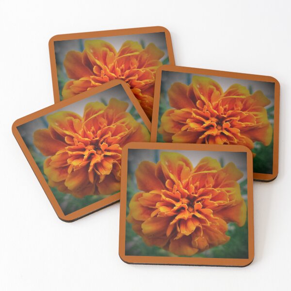 Item preview, Orange Marigold designed and sold by Scott and Mary Schneider art_photography.