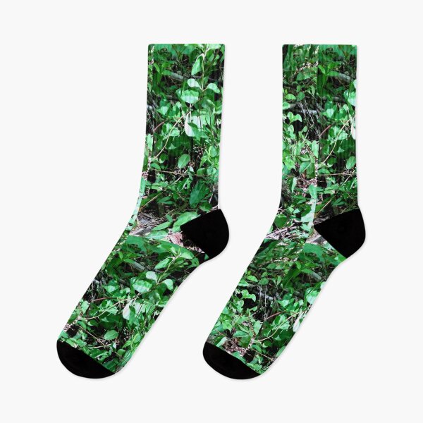 Item preview, Afuera en el bosque designed and sold by Jaroffaith.