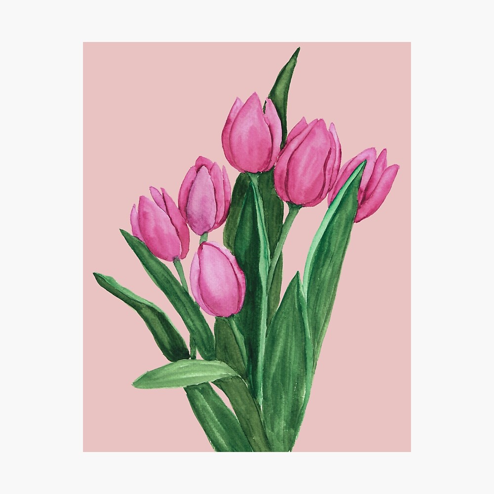 tulip painting