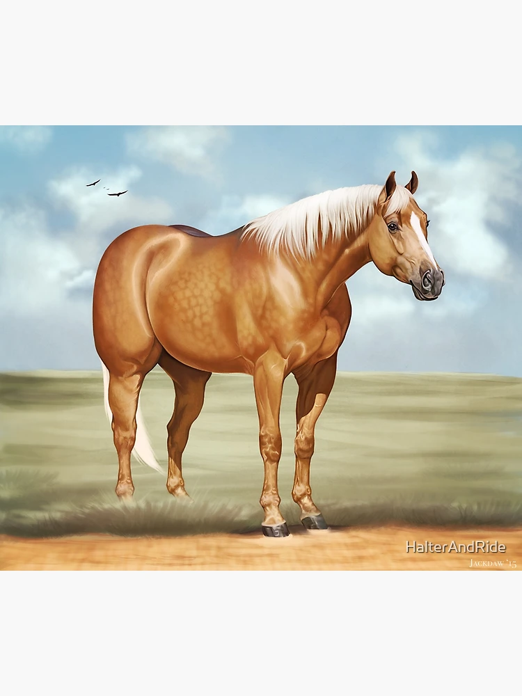 palomino stallion of quarterhorse breed. 909996 Stock Photo at Vecteezy