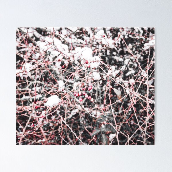 Item preview, Red and White designed and sold by James Galler.