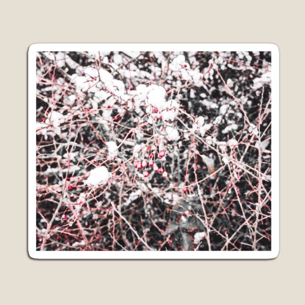 Item preview, Red and White designed and sold by James Galler.