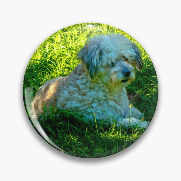 Item preview, Our Furry Buddy Relaxing In The Sun designed and sold by alabca.
