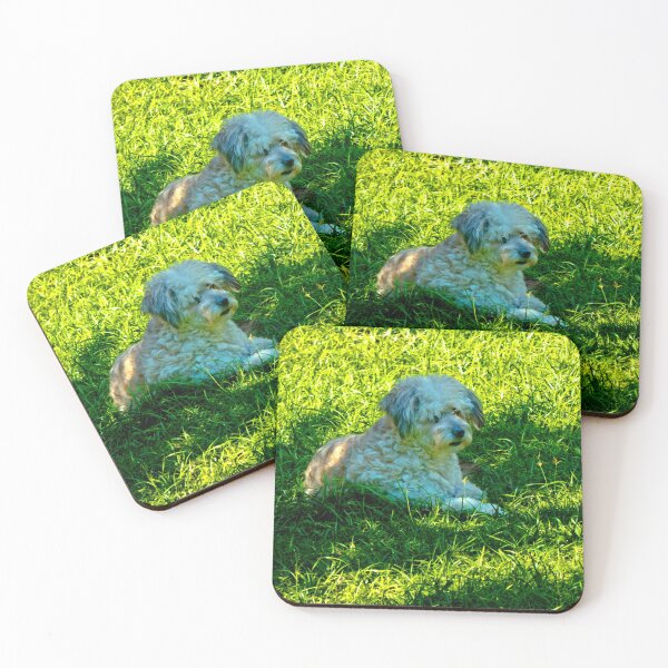 Item preview, Our Furry Buddy Relaxing In The Sun designed and sold by alabca.