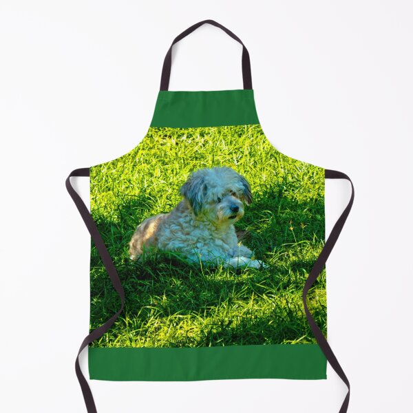 Item preview, Our Furry Buddy Relaxing In The Sun designed and sold by alabca.
