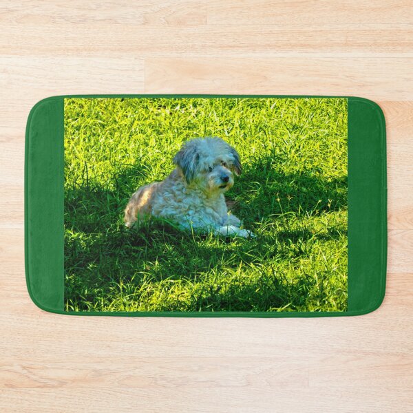 Item preview, Our Furry Buddy Relaxing In The Sun designed and sold by alabca.