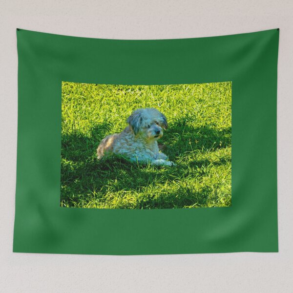 Item preview, Our Furry Buddy Relaxing In The Sun designed and sold by alabca.