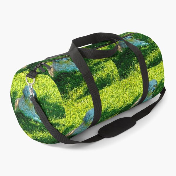 Item preview, Our Furry Buddy Relaxing In The Sun designed and sold by alabca.