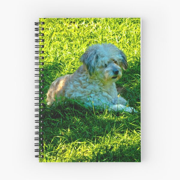 Item preview, Our Furry Buddy Relaxing In The Sun designed and sold by alabca.