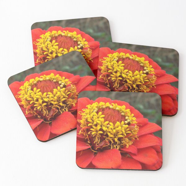 Item preview, Marigold Up Close designed and sold by AlteredAtelier.