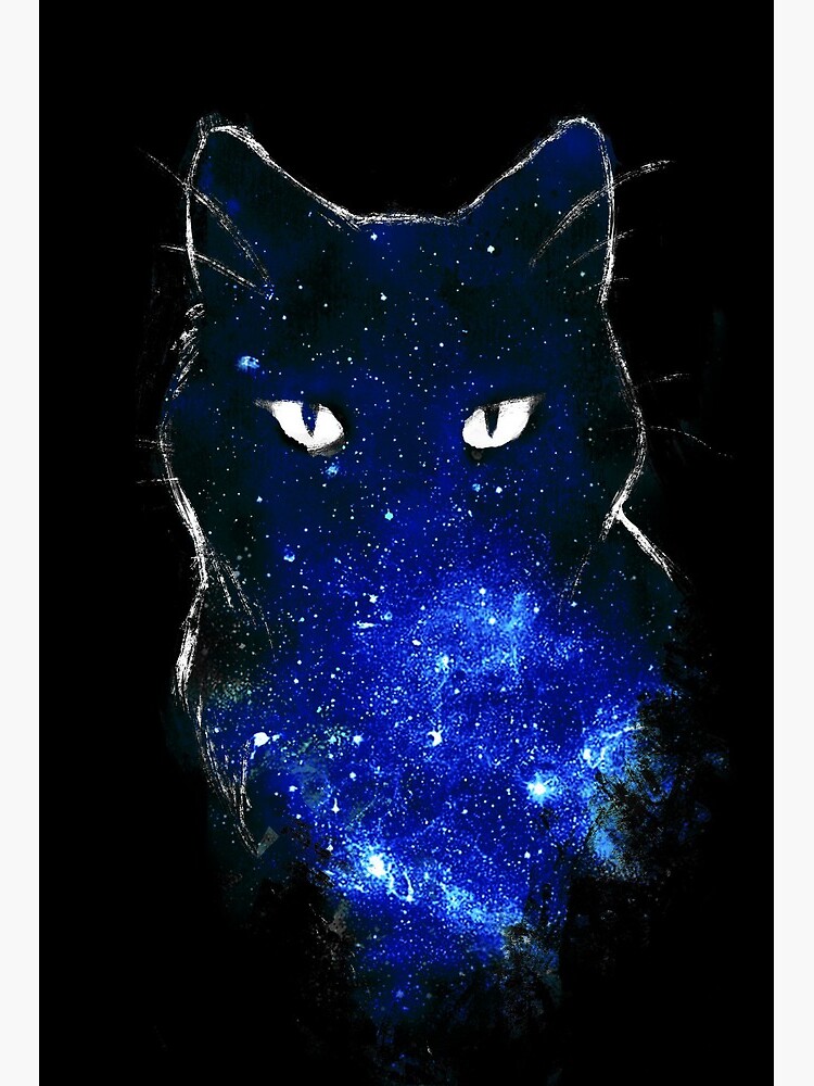 Star Galaxy Black Cat Space Constellation Cute Kitty