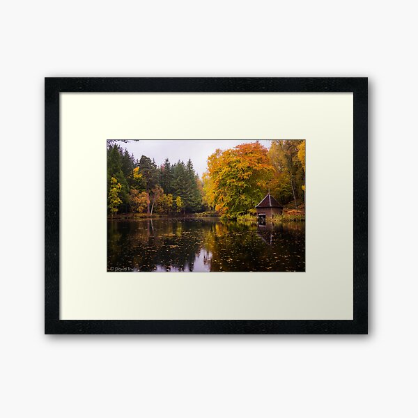 Item preview, Faskally-Loch Faskally II designed and sold by Square Foot Photography.