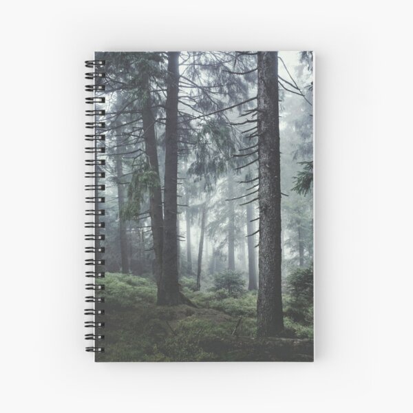 Path Vibes Spiral Notebook