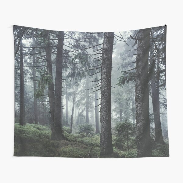 Path Vibes Tapestry