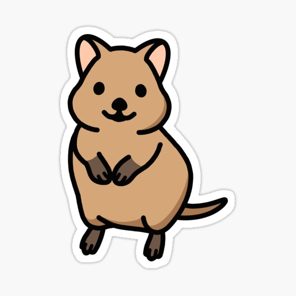 Quokka\