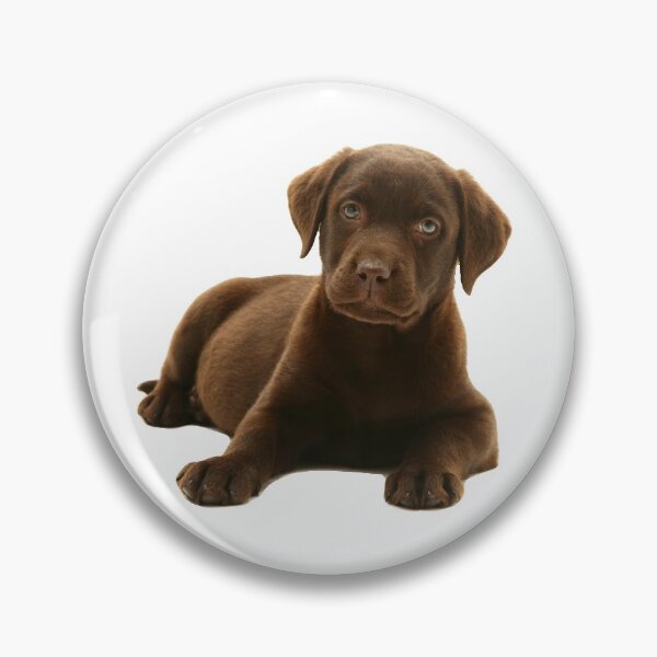 Item preview, Chocolate Labrador Retriever Puppy designed and sold by ScienceSource.