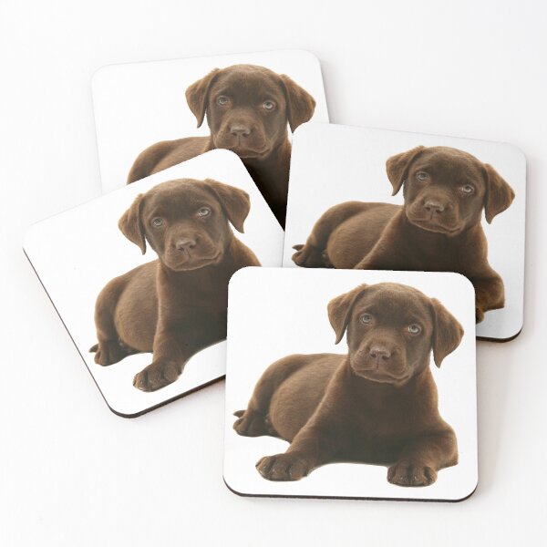Item preview, Chocolate Labrador Retriever Puppy designed and sold by ScienceSource.
