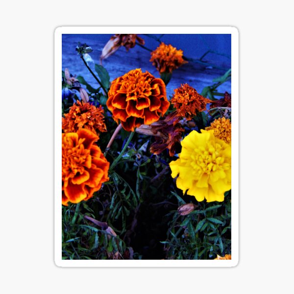 Underwater Garden Sticker