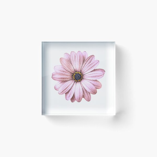 Item preview, Sparkling Daisy - Rose Gold designed and sold by sunkissedgrafix.