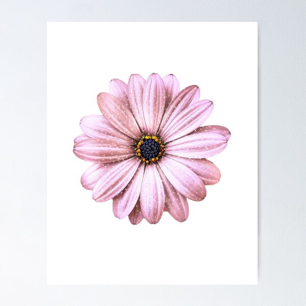 Item preview, Sparkling Daisy - Rose Gold designed and sold by sunkissedgrafix.
