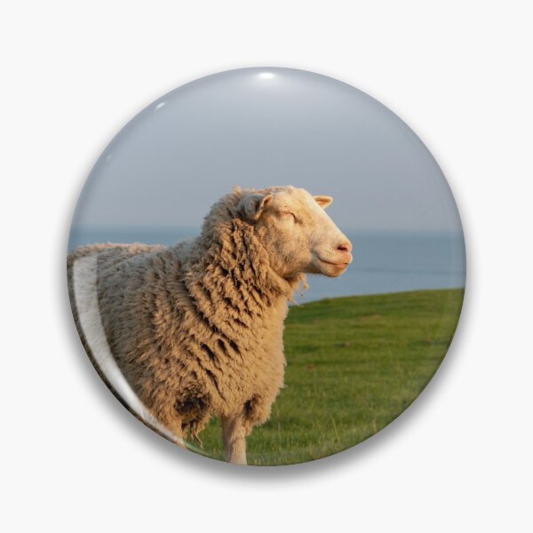 Item preview, Sheep in evening sun designed and sold by EngineerGoC.