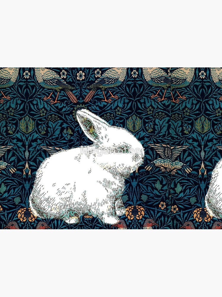 A Rabbit in Morris's Garden by MeganSteer