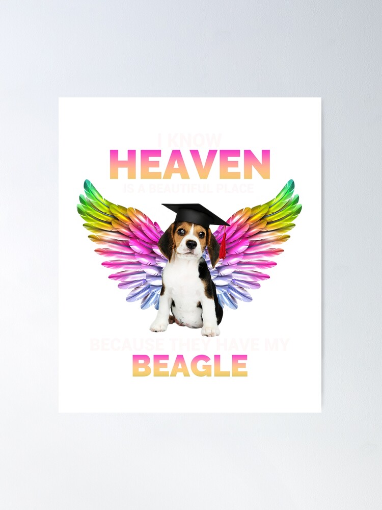 I Know Heaven Is A Beautiful Place they Have My Beagle Dog