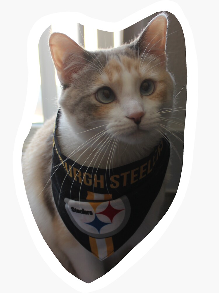 Steelers Cat Sticker for Sale by fatfatpankocat