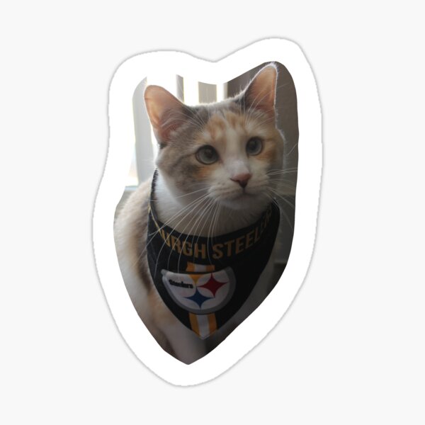 Steelers cat clearance collar