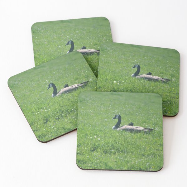 Item preview, Goose designed and sold by Tamara McDonnell.