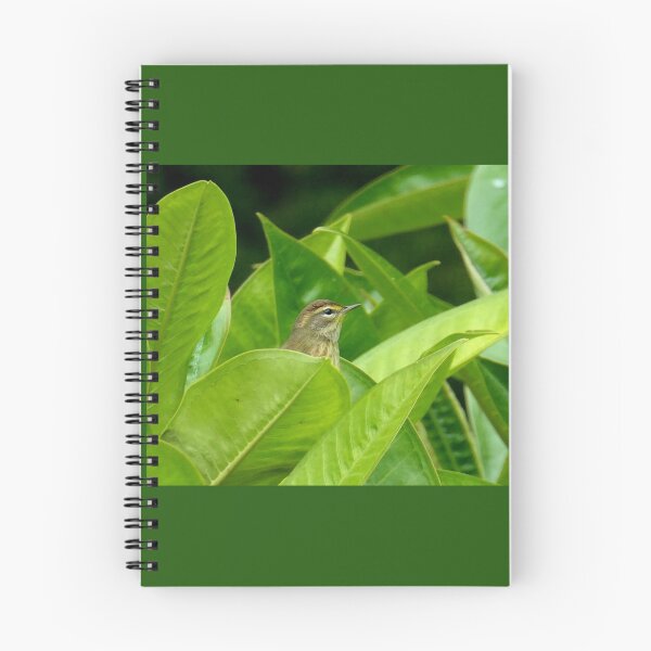 Item preview, Bird Sighting designed and sold by Peggy Feigenbaum.