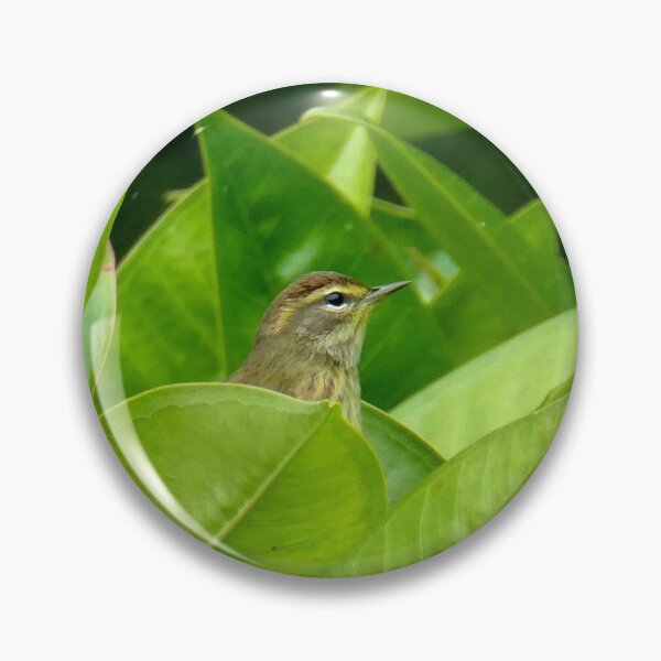 Item preview, Bird Sighting designed and sold by Peggy Feigenbaum.