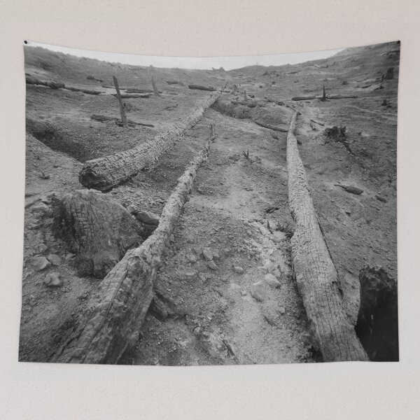 Item preview, 2003 Terra bruciata designed and sold by robertoferrero.