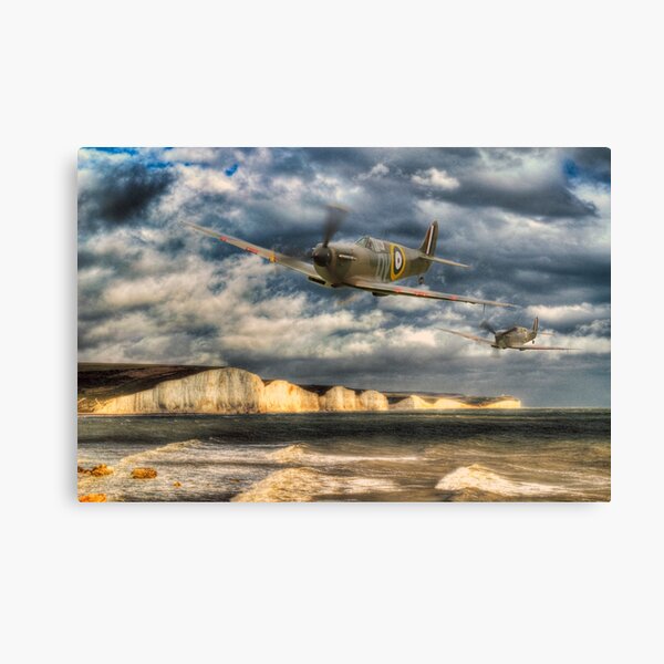 Coastal Patrol Canvas Print