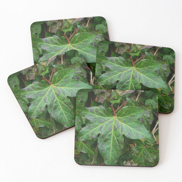 Item preview, Ivy leaf designed and sold by tada-leipzig.
