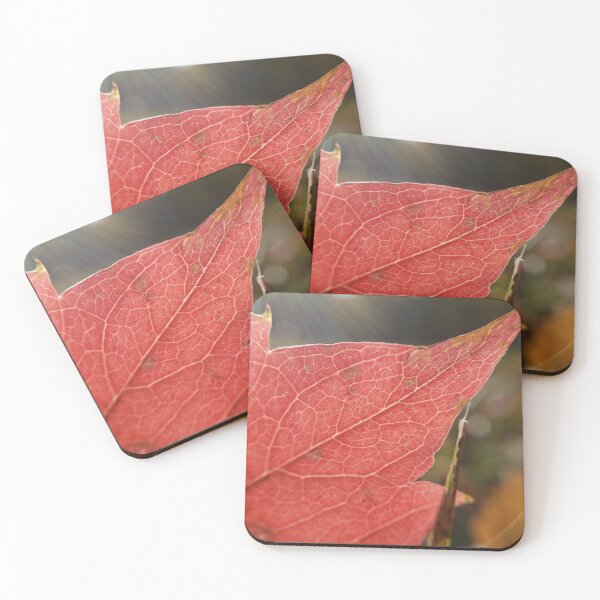 Item preview, Veined Leaf designed and sold by JJPumpkins.