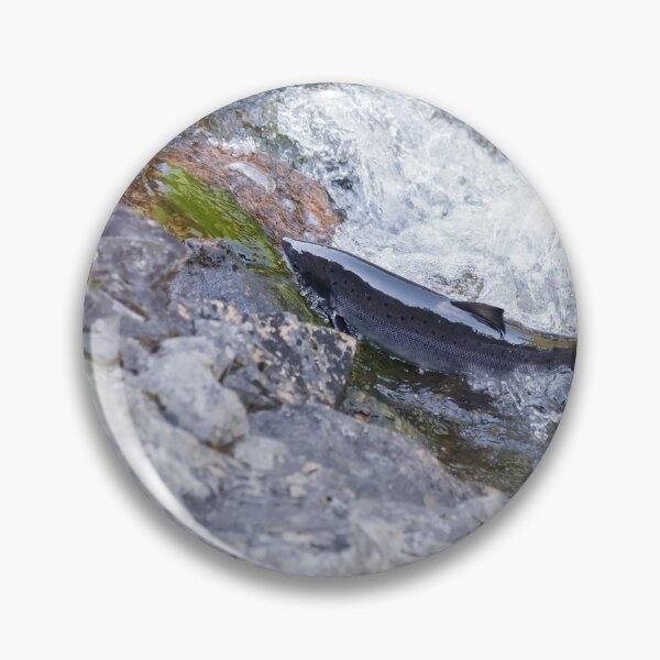 Item preview, atlantic salmon designed and sold by chanonry.