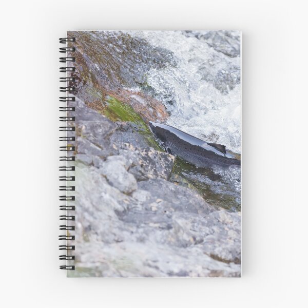 Item preview, atlantic salmon designed and sold by chanonry.