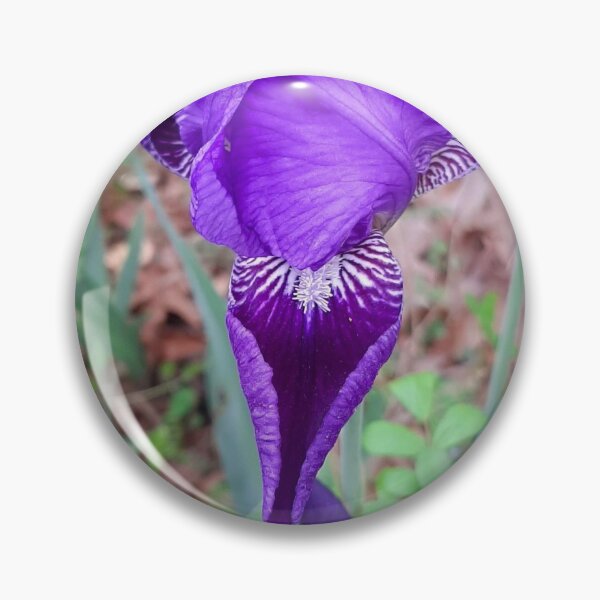 Artikelvorschau, Schöne lila Iris entworfen und verkauft von Jaroffaith.