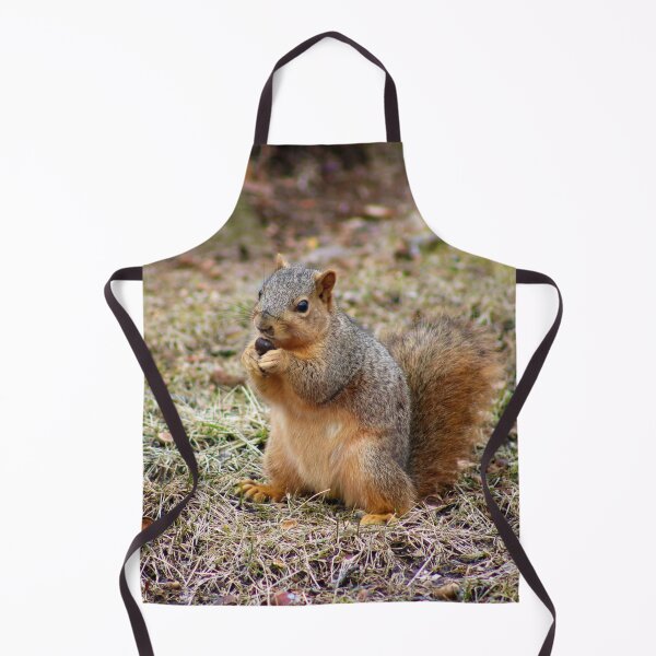 Item preview, Monch Time for Cutie Squirrel designed and sold by mokacat.