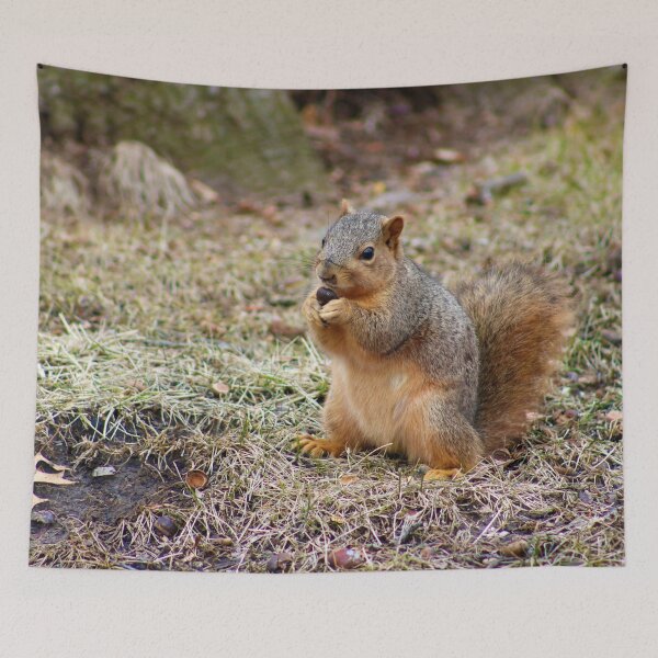 Item preview, Monch Time for Cutie Squirrel designed and sold by mokacat.