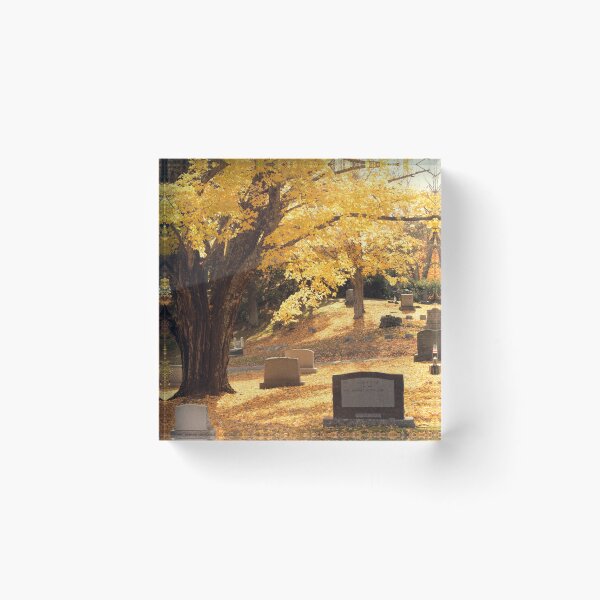 Item preview, Foliage at Aspen Grove designed and sold by Mass Monumentalist.