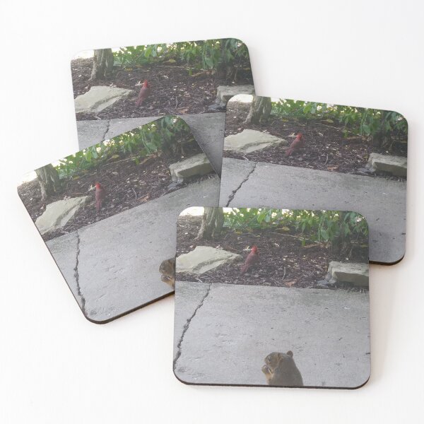 Item preview, Squirrel and Cardinal designed and sold by NathanMoore92.